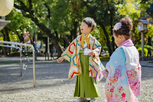 アンティーク着物セット 大正ロマン Antique Kimono 乱菊 484e600cea32c3bd332720b1cabe52